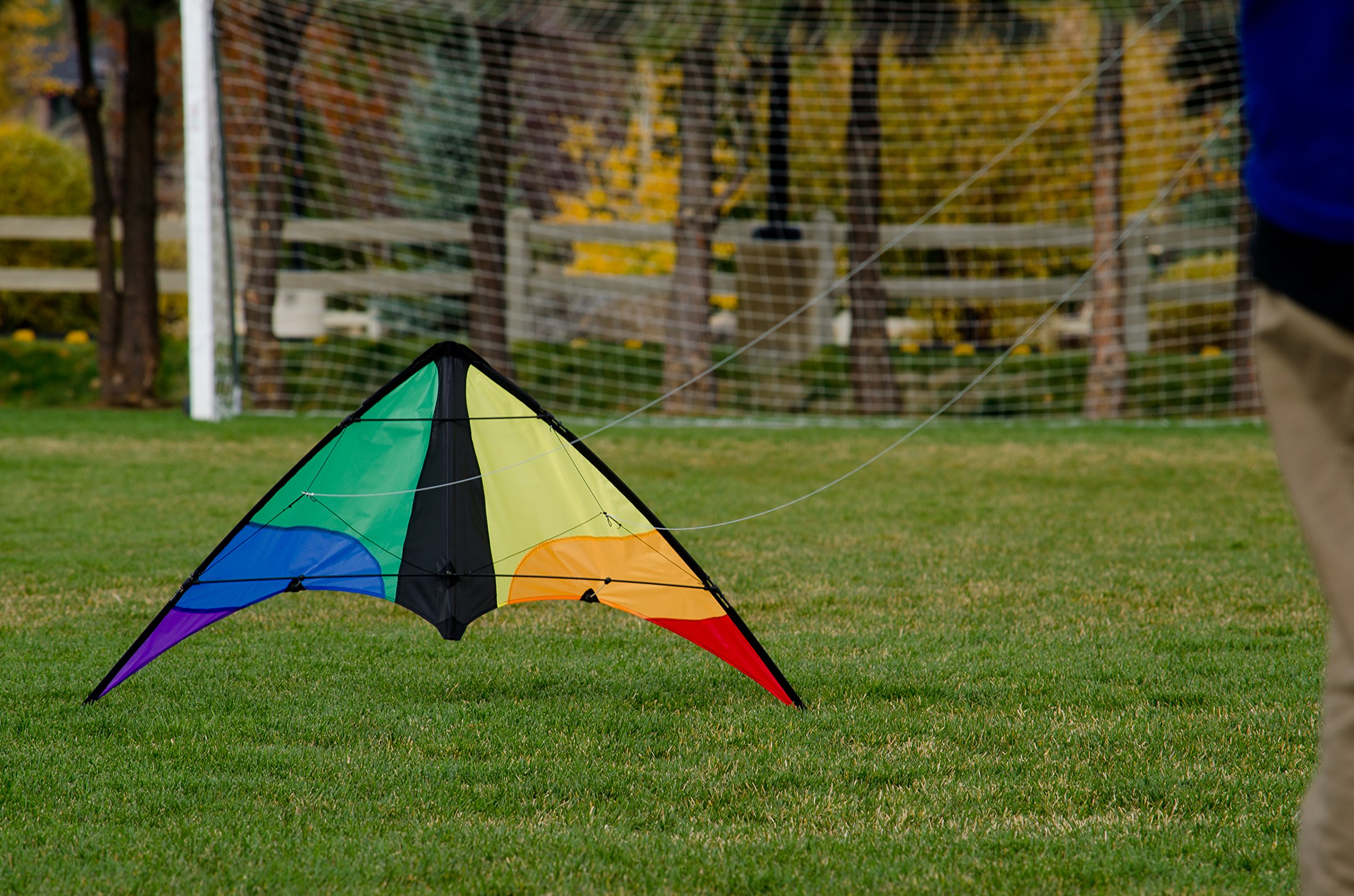 Amazon.com: In the Breeze Colorwave 48 Inch Stunt Kite - Dual Line